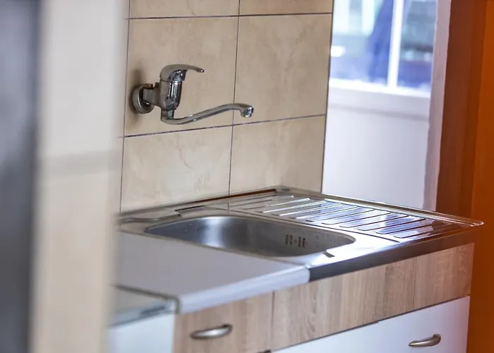 Apartman Kokin Brod *